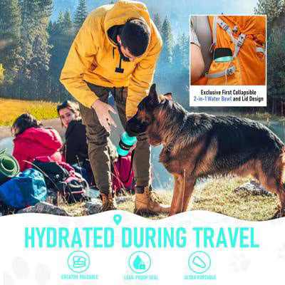 Foldable Travel Dog Water Bottle & Bowl – Leak‑Proof